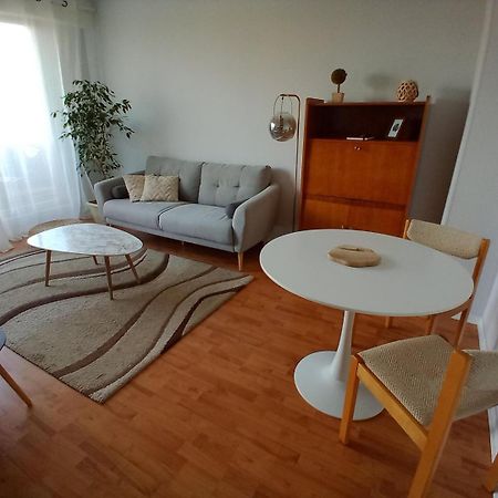 Appartement Avec Parking Et Balcon Vue Cathedrale 沙特尔 外观 照片